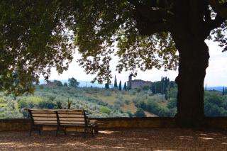Il Salotto di Berentano - San Casciano in Val di Pesa - 5