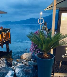 The Lake House - 2