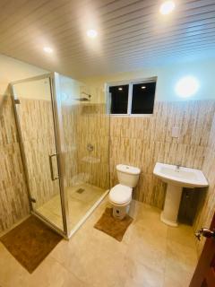 Palm Grove Apartment - Castries - 5