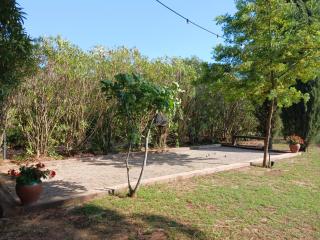 Magnifiques maisons de campagne au sein d'un vignoble - 2