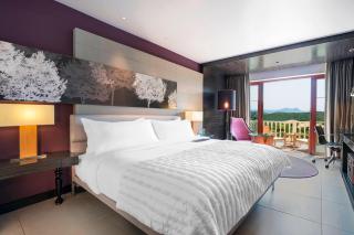 Le Meridien Mahabaleshwar Resort & Spa - Mahabaleshwar - 5
