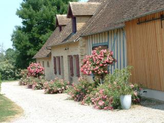 Gîte rénové en campagne, 3 ch., terrain 5000m², proche randonnées et Le Mans ! - FR-1-410-161 - La Chabossière - 9