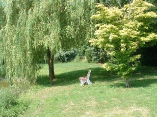 Gîte rénové en campagne, 3 ch., terrain 5000m², proche randonnées et Le Mans ! - FR-1-410-161 - La Chabossière - 5