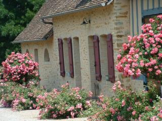 Gîte rénové en campagne, 3 ch., terrain 5000m², proche randonnées et Le Mans ! - FR-1-410-161 - La Chabossière - 3