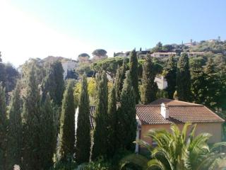 Appartement calme, 4 couchages, proche plage et commerces, terrasse exposée sud, parking privatif - FR-1-251-508 - Le Lavandou - 2