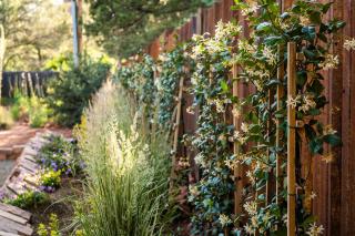 WEST SEDONA RETREAT w/ VIEWS of Coffee Pot Rock! - 8