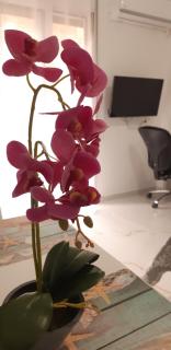 Luxury apartment 3 rooms near metro - Atene - 9