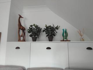 Top of the House - Bognor Regis - 5