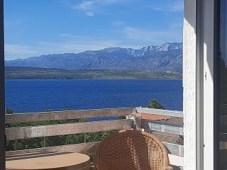 Apartman 45m2 - Novigrad Dalmatia - 0