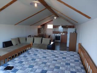 Apartman 45m2 - Novigrad Dalmatia - 8