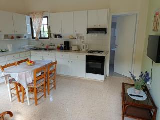 The Grapevine Guest House - Paphos - 8