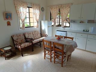 The Grapevine Guest House - Paphos - 3