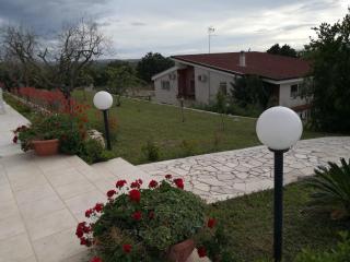 B&B Villa Lena - Turi - 6