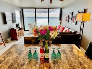 Ocean View Luxury Condo Oceanfront and Pool - San Diego - 9