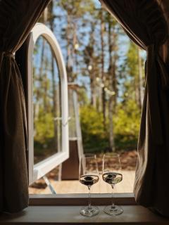 Pedaspä Igloo House and Sauna - 8