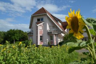 Castell Hotel & Restaurant - Leinsweiler - 5