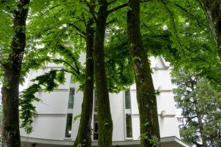 Silva Hotel Splendid - Fiuggi - 7