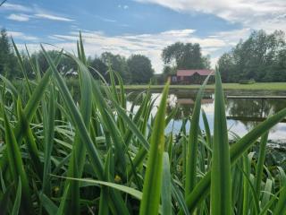 Atostogų namelis kaime - - 8