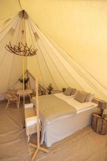 Camp Gielas, Arvidsjaur - 3