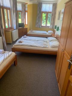 Hotel Pacifik - Hamr na Jezeře - 6