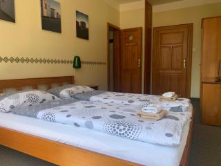 Hotel Pacifik - Hamr na Jezeře - 9