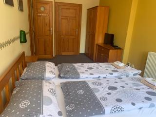 Hotel Pacifik - Hamr na Jezeře - 1