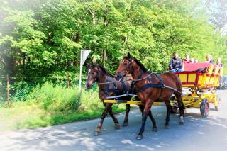 Land und Meer LM15 - Cuxhaven - 6