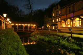 Waldhotel Pfarrmühle - Eisenberg - 6