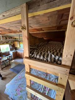 Foxglove eco lodge - Llanelli - 8