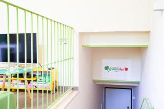 Green&Love Apartment - Peccioli - 1