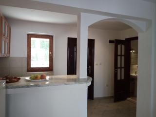 Nice apartment (1) for 2-4 in 60m to beach - Dubravčevina - 3