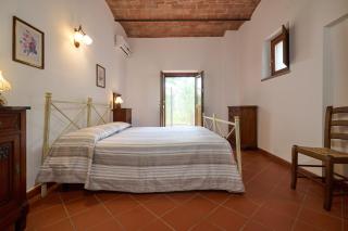 Antichi Palmenti - Corbezzolo - San Vincenzo - 5
