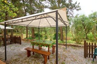 Antichi Palmenti - Corbezzolo - San Vincenzo - 8