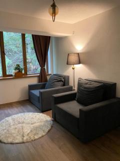 Hotel Neda Galichnik - Galičnik - 2