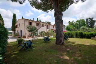 Antichi Palmenti - Ginepro - San Vincenzo - 8