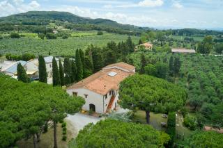 Antichi Palmenti - Corbezzolo - San Vincenzo - 0