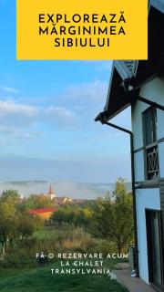 Cabana Chalet Transylvania - Orlat - 2