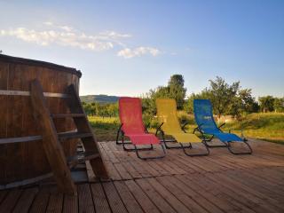 Cabana Chalet Transylvania - Orlat - 3