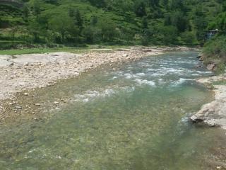 Shivalik River Retreat - Almora - 1