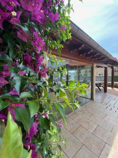 Hotel Vijanera - Galizano - 2
