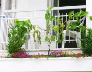 B&B Residence Sorriso - Cattolica - 7