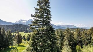 V du Bachat Sorbiers E32 - Appt 6 pers - Chamrousse - 1