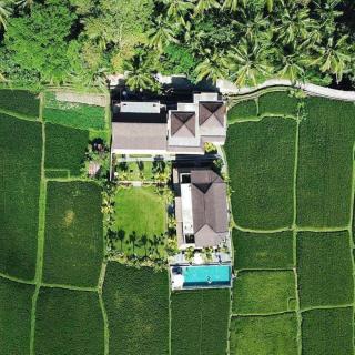 Intan Villa & Suite Ubud - Ubud - 9