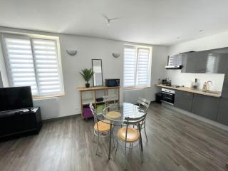 Le Dominicains appartement au calme aux portes de la Place Stanislas - Nancy - 9