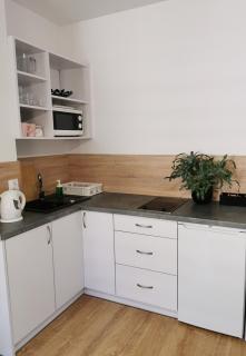 Kamienica - Uniejow - 4