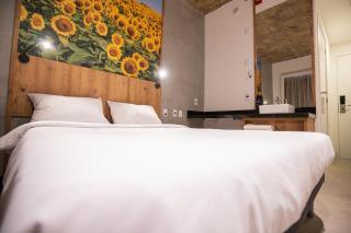 CAMPOS DE HOLAMBRA INN - Paranapanema - 9