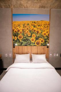 CAMPOS DE HOLAMBRA INN - Paranapanema - 0