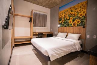 CAMPOS DE HOLAMBRA INN - Paranapanema - 5