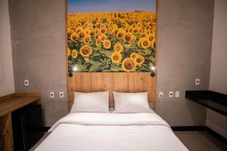 CAMPOS DE HOLAMBRA INN - Paranapanema - 8