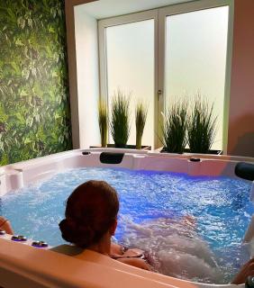 Le Manoir des Haies SPA - Les Champs-Géraux - 8